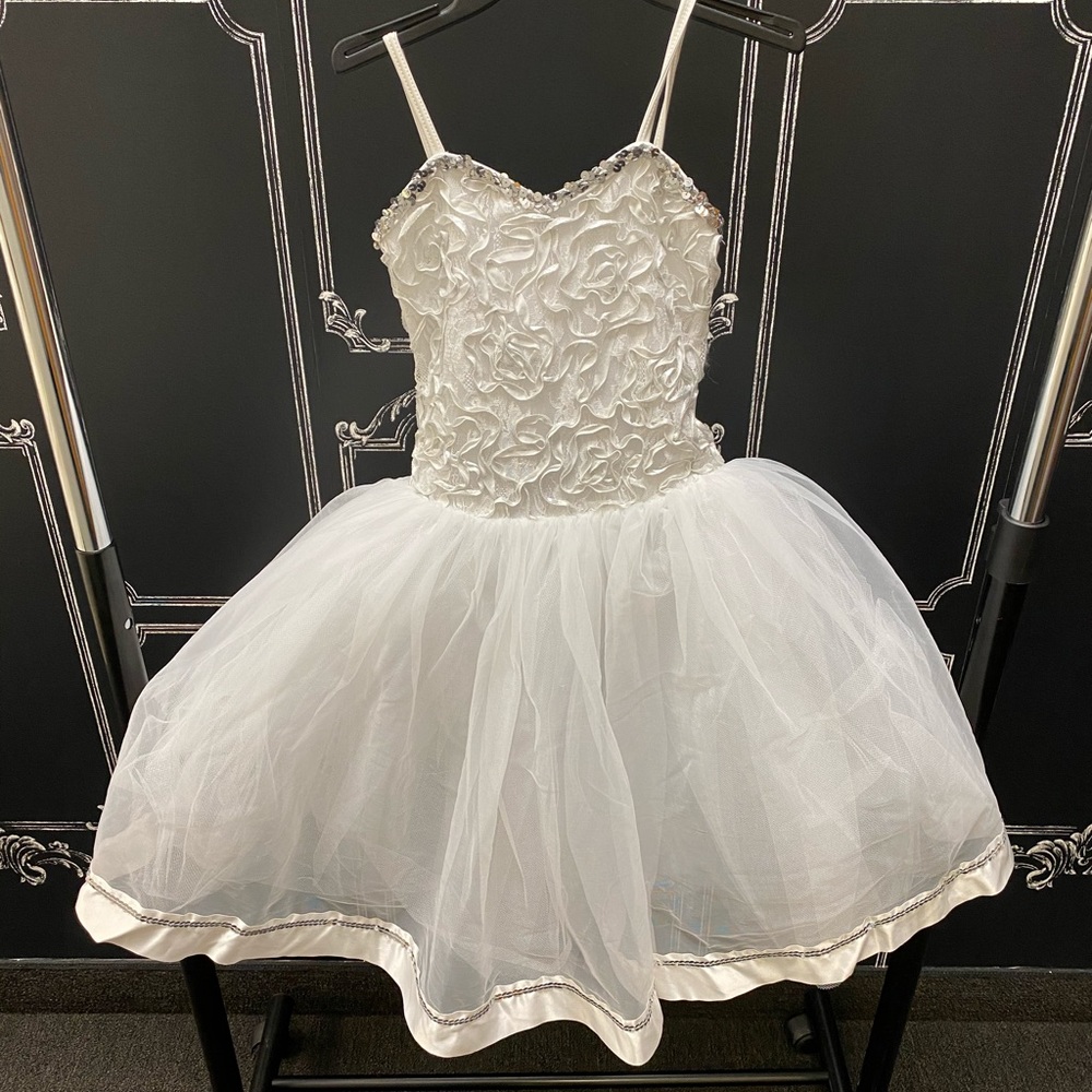 Full Princess Ballet Tutu